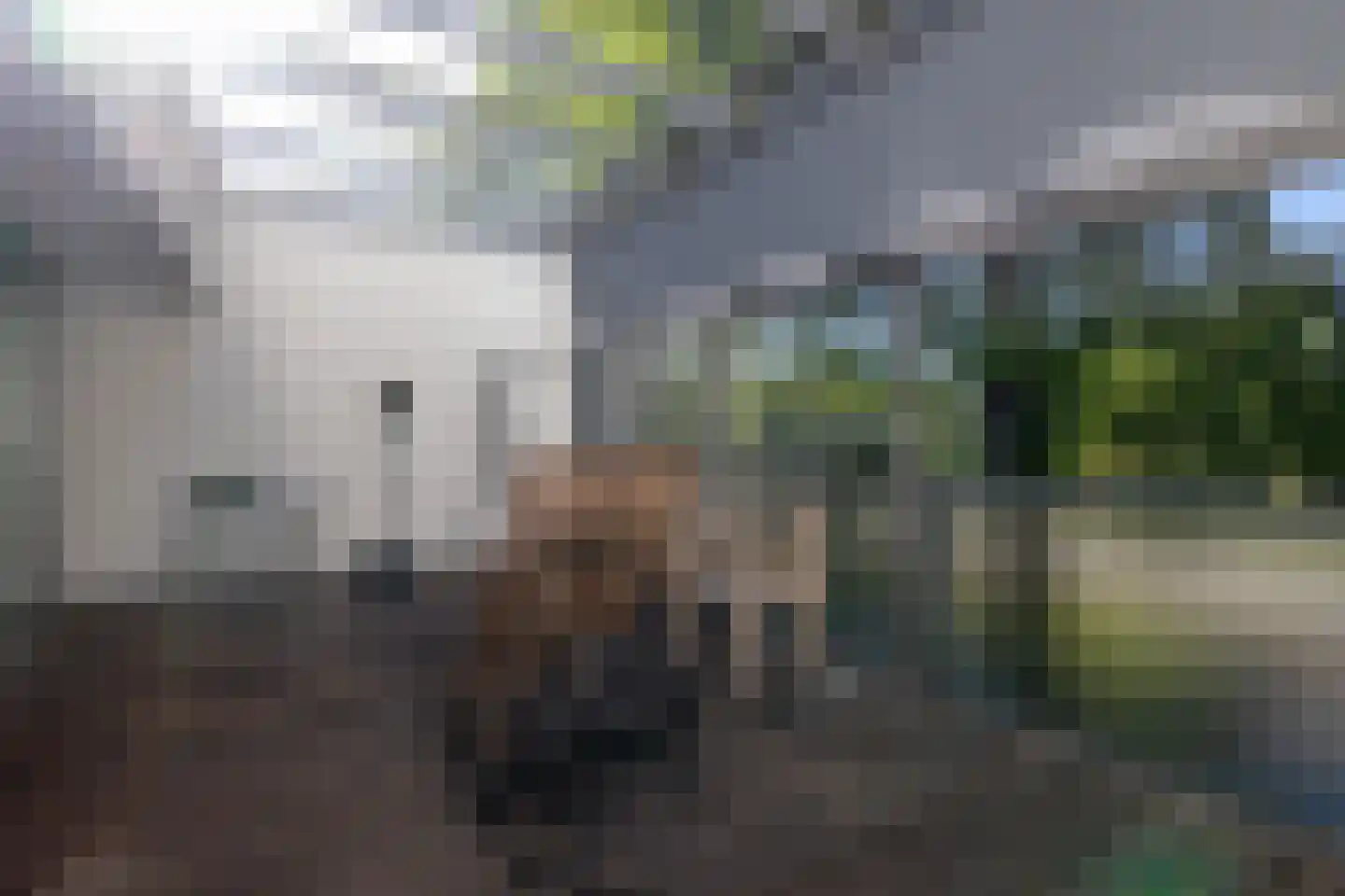 's-Gravenweg 316 Rotterdam thumbnail 22