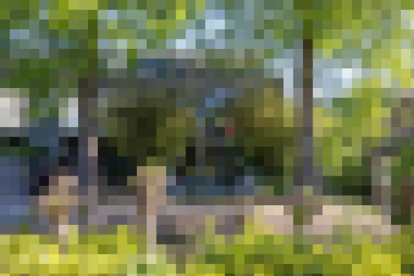 's-Gravenweg 316 Rotterdam thumbnail 30
