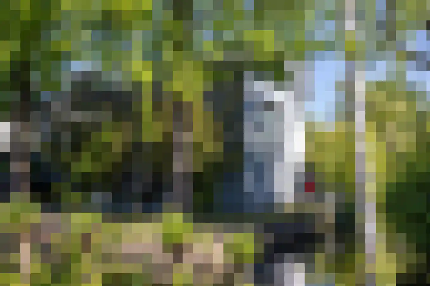 's-Gravenweg 316 Rotterdam thumbnail 36