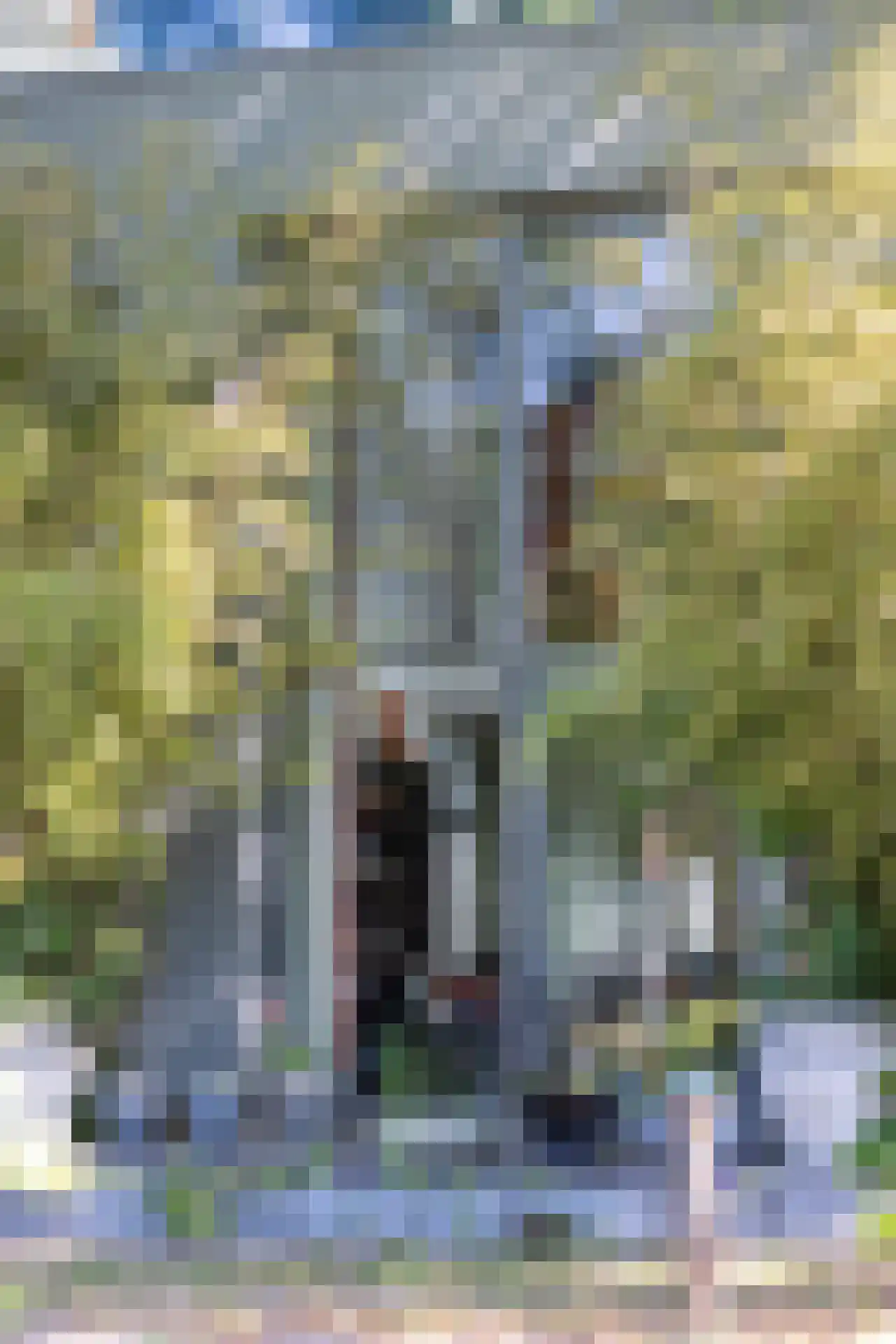 's-Gravenweg 316 Rotterdam thumbnail 37