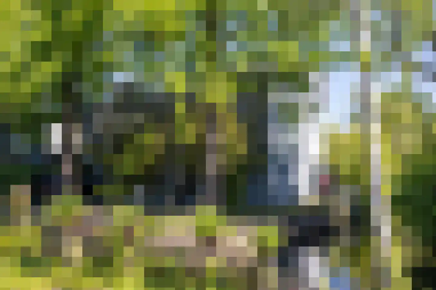 's-Gravenweg 316 Rotterdam thumbnail 38
