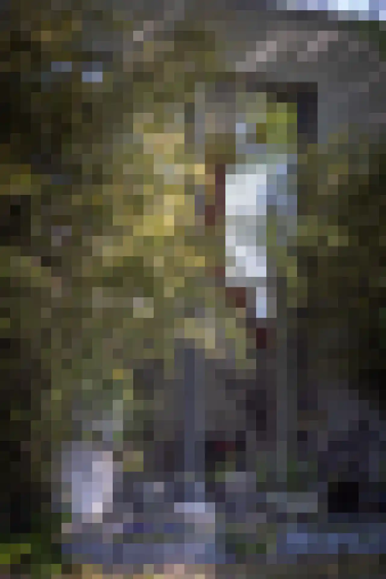 's-Gravenweg 316 Rotterdam thumbnail 39