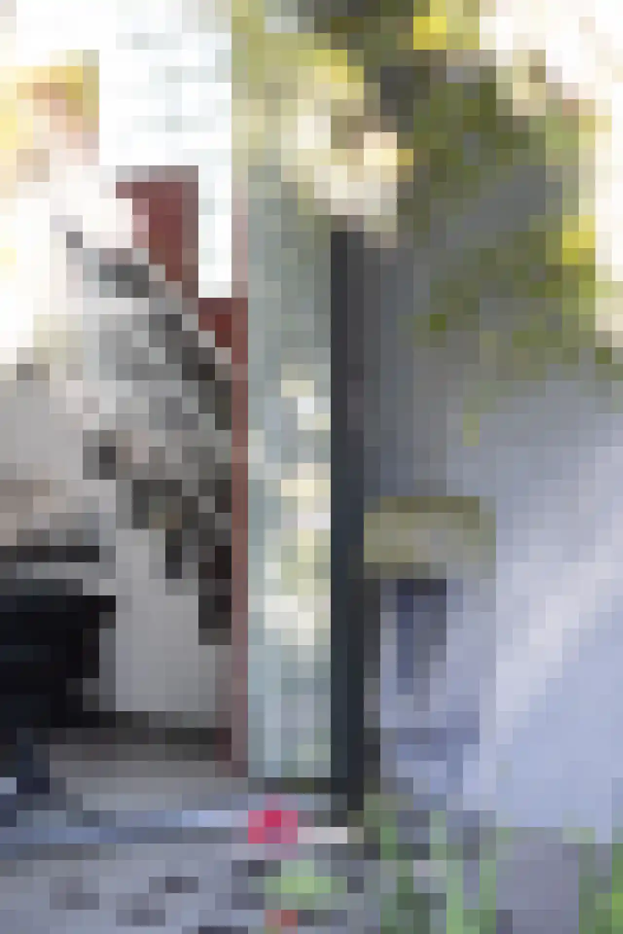 's-Gravenweg 316 Rotterdam thumbnail 40