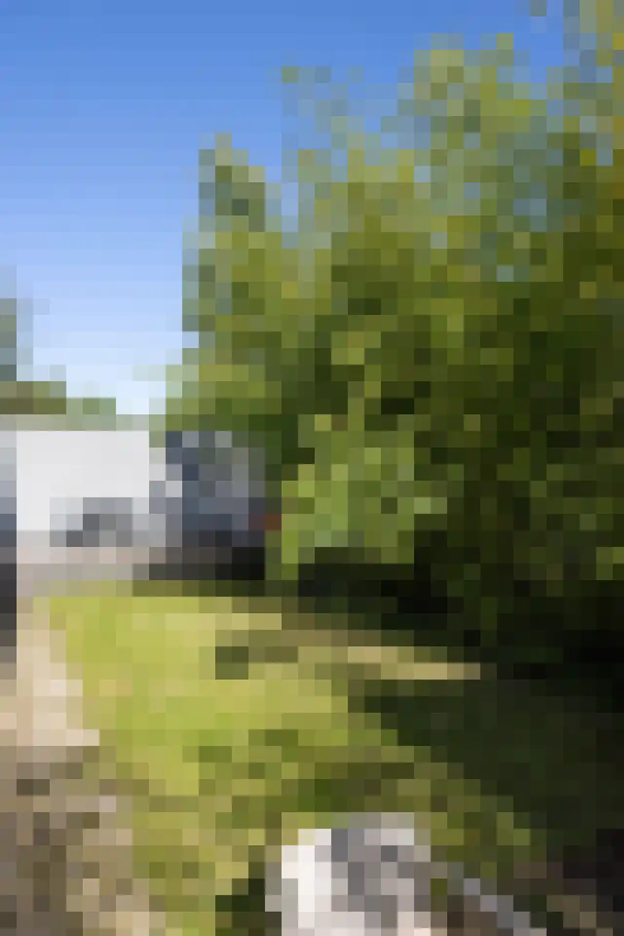 's-Gravenweg 316 Rotterdam thumbnail 41