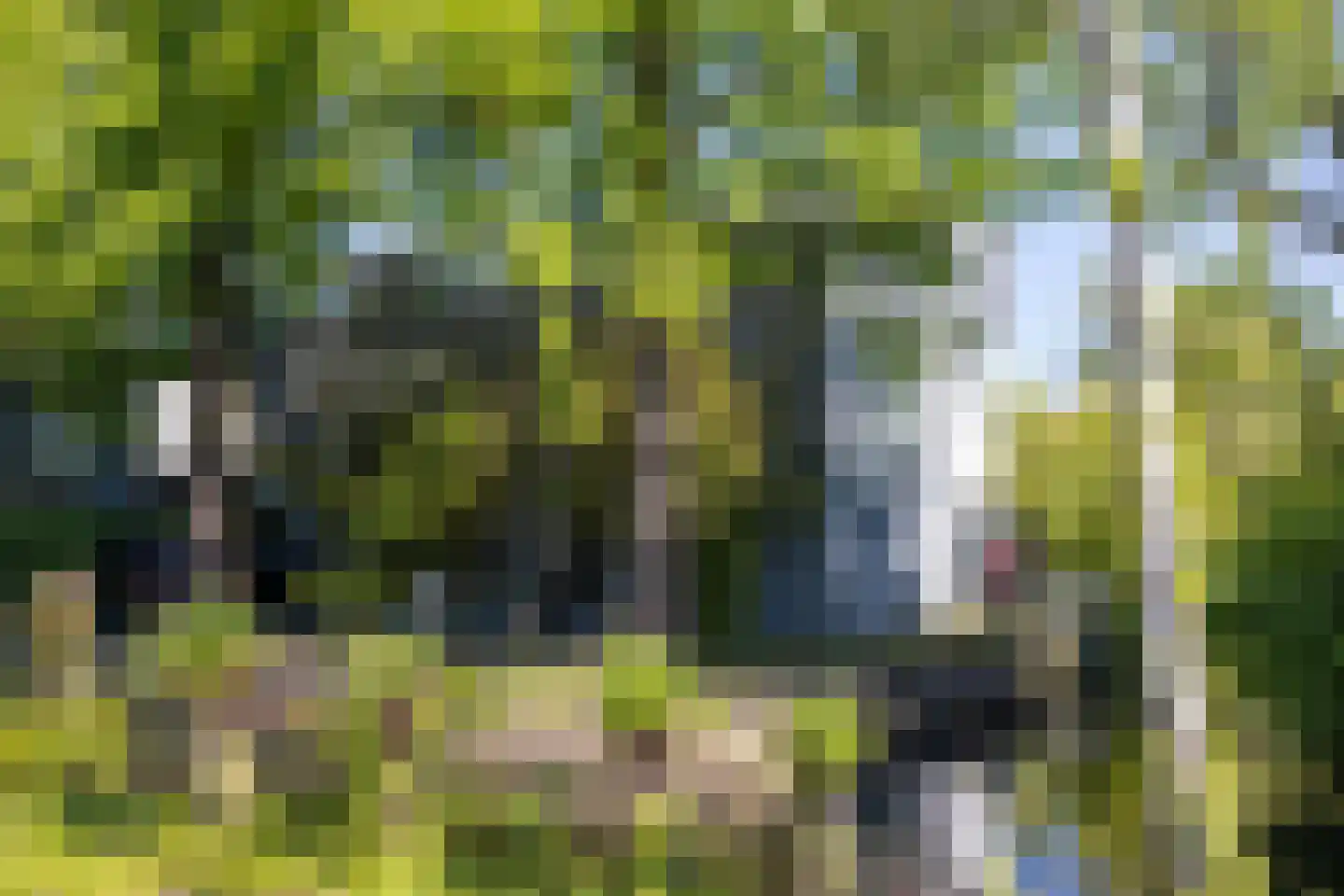 's-Gravenweg 316 Rotterdam thumbnail 42