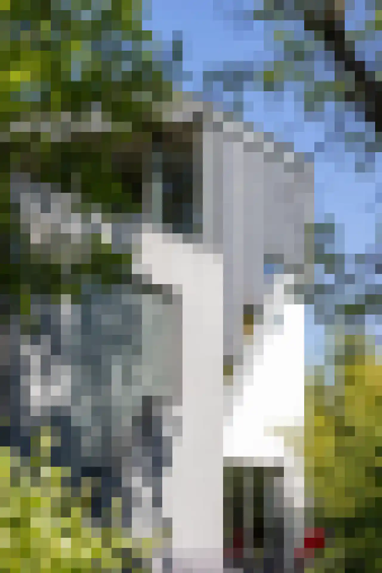 's-Gravenweg 316 Rotterdam thumbnail 43