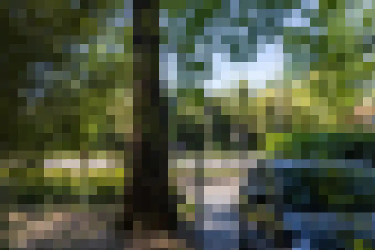 's-Gravenweg 316 Rotterdam thumbnail 44