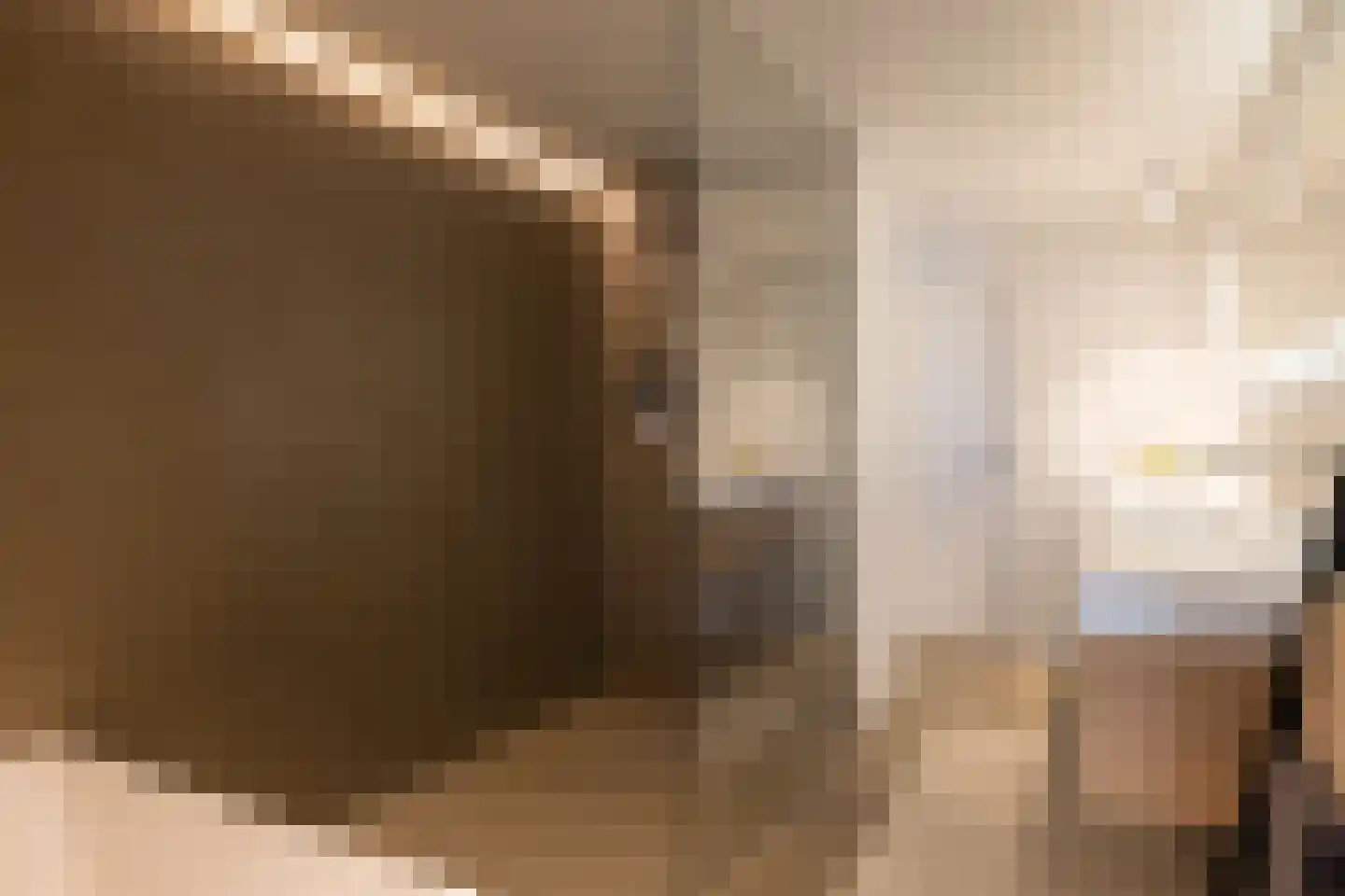 's-Gravenweg 325 Rotterdam thumbnail 34