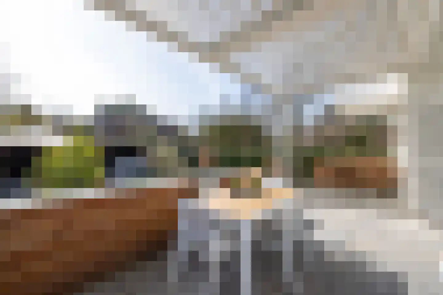 's-Gravenweg 325 Rotterdam thumbnail 45