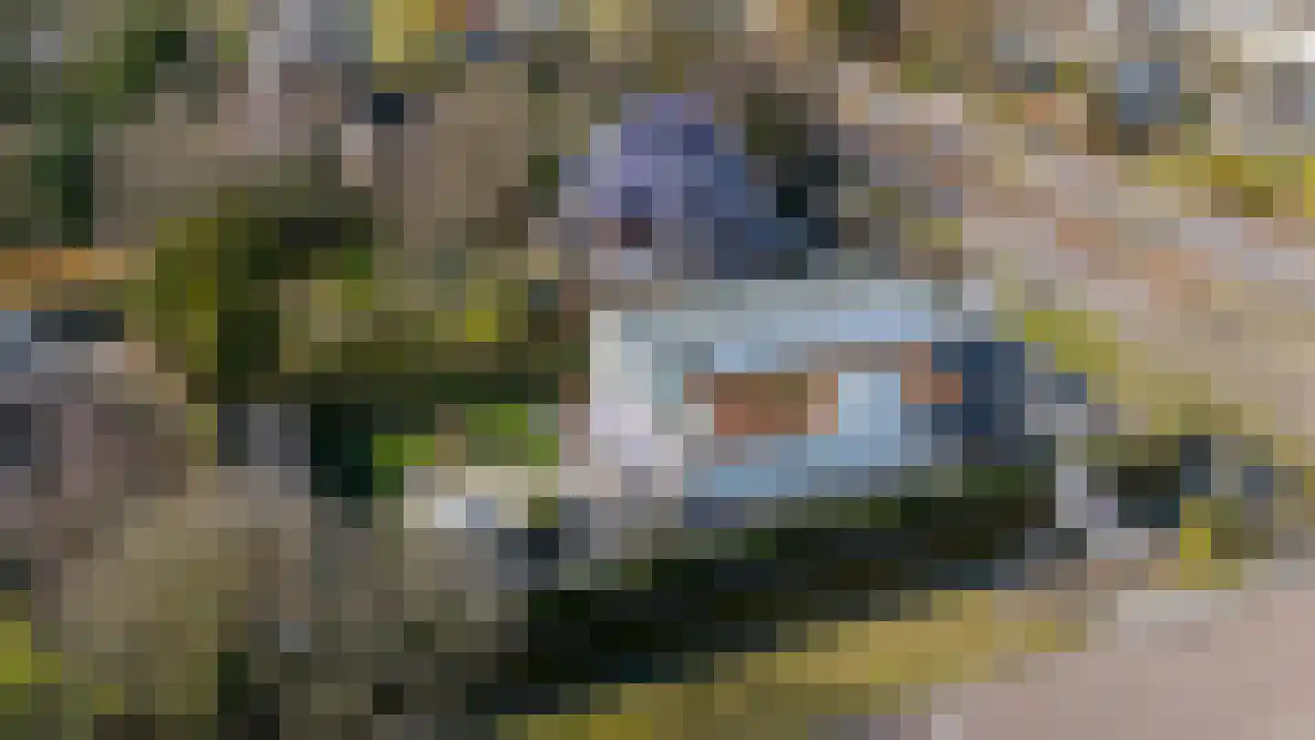 's-Gravenweg 325 Rotterdam thumbnail 5