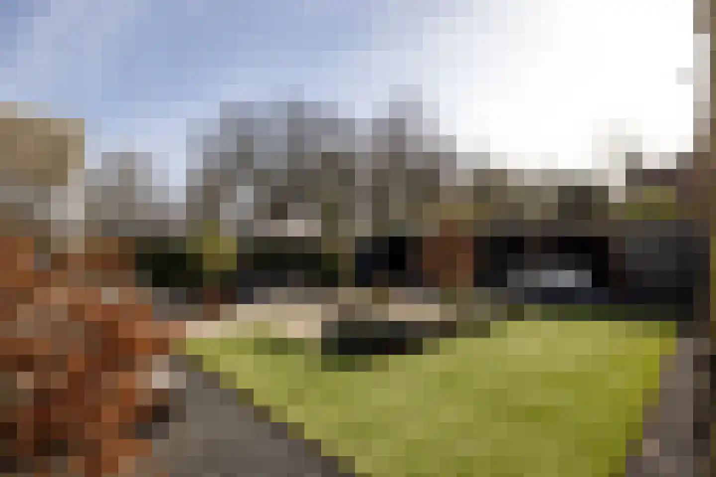 's-Gravenweg 325 Rotterdam thumbnail 52