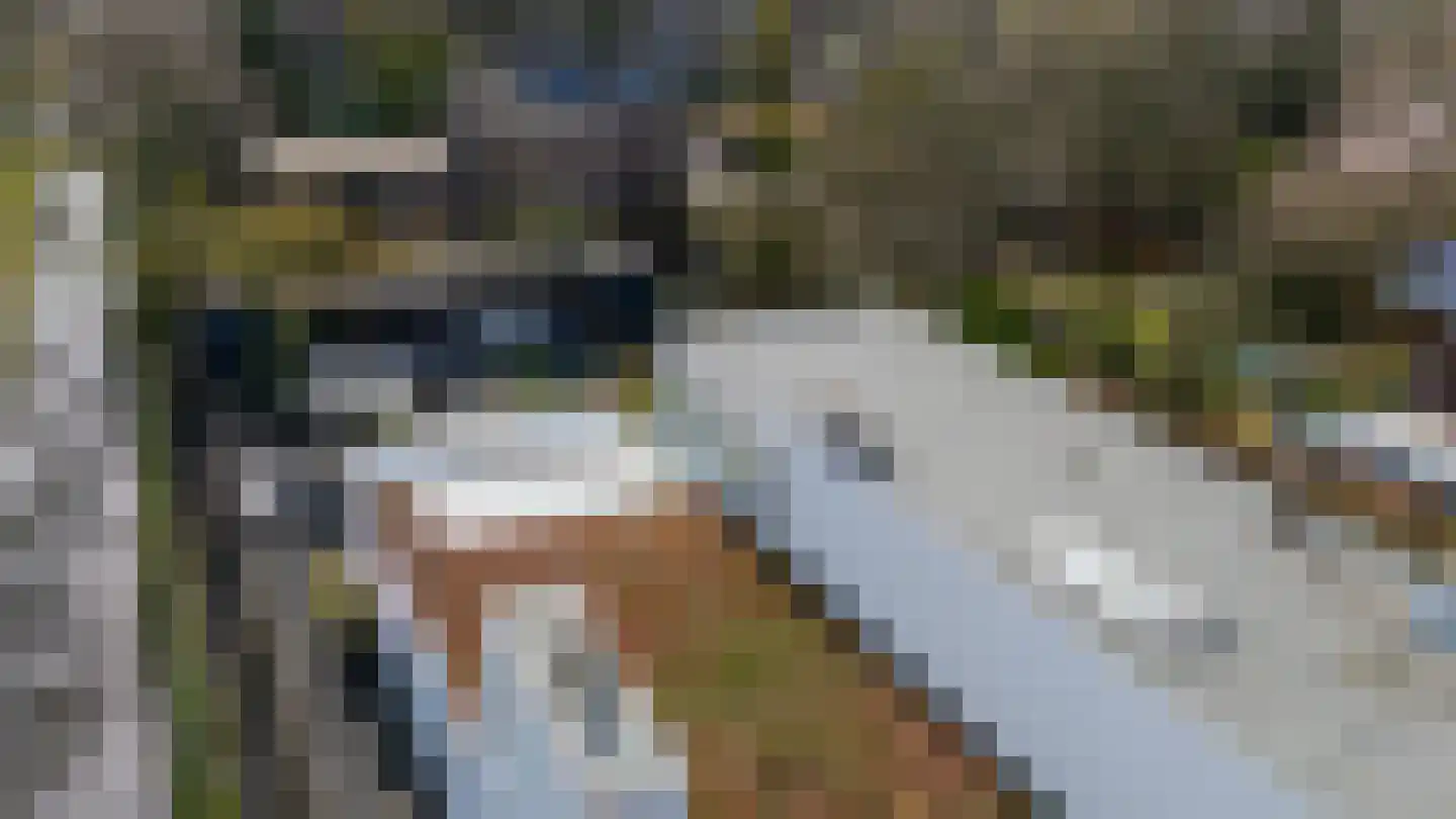 's-Gravenweg 325 Rotterdam thumbnail 57