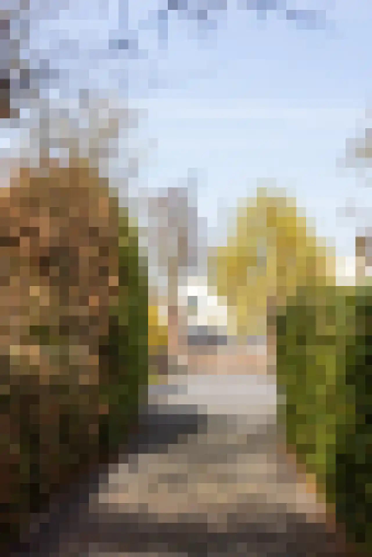 's-Gravenweg 325 Rotterdam thumbnail 59