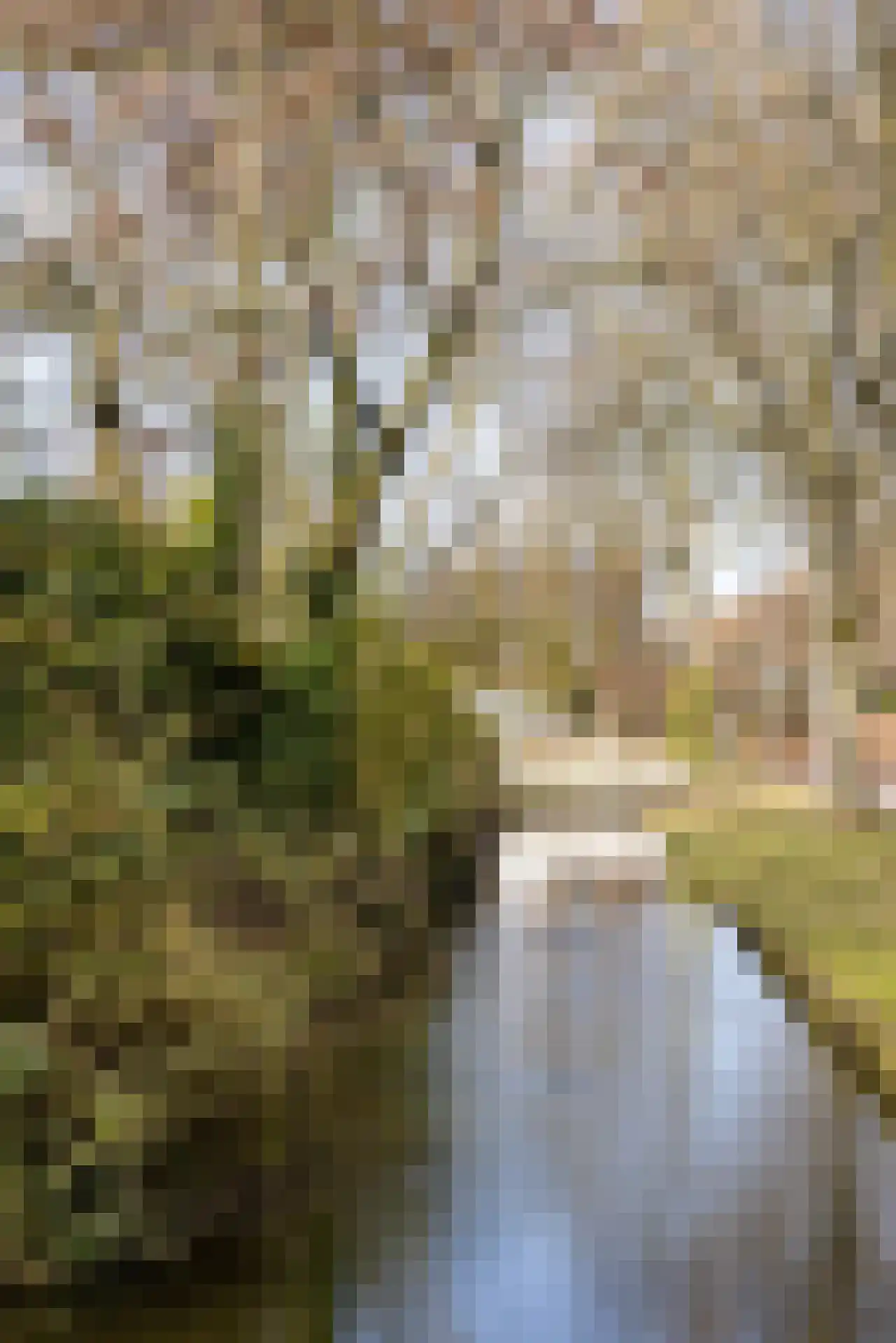 's-Gravenweg 325 Rotterdam thumbnail 67
