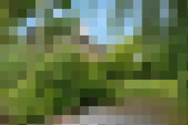 's-Gravenweg 344 A Rotterdam thumbnail 13