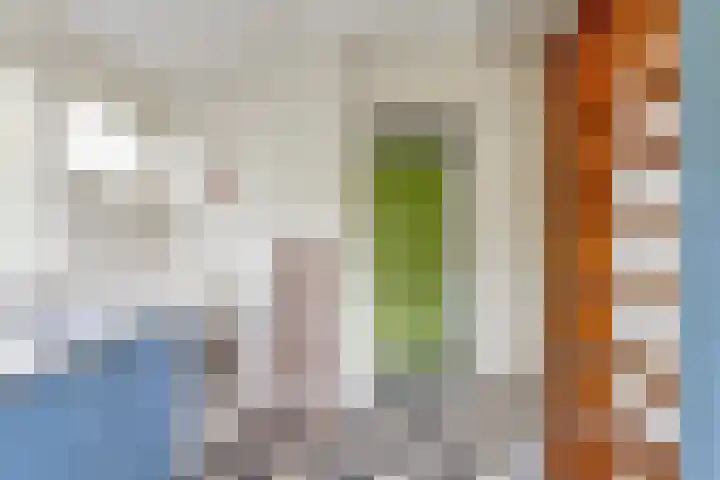 's-Gravenweg 344 A Rotterdam thumbnail 24