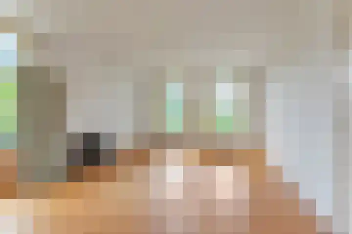 's-Gravenweg 344 A Rotterdam thumbnail 31