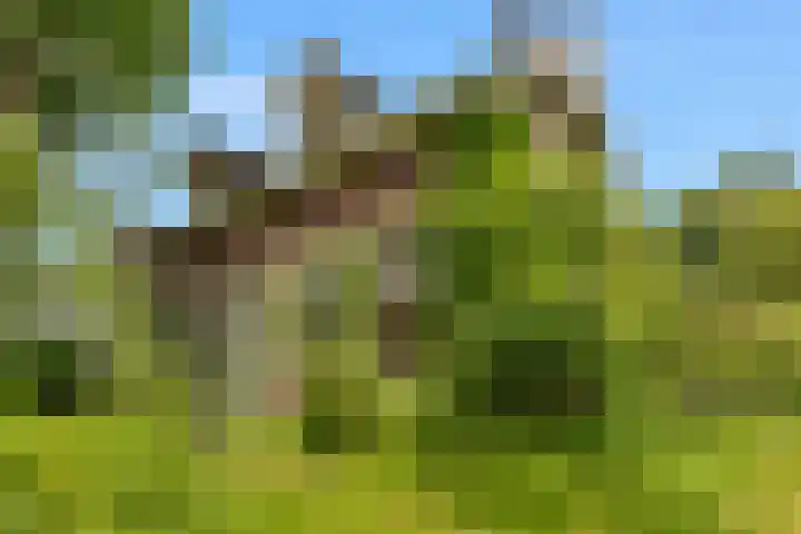 's-Gravenweg 344 A Rotterdam thumbnail 4