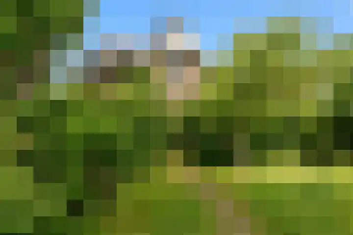 's-Gravenweg 344 A Rotterdam thumbnail 5