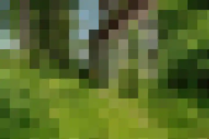 's-Gravenweg 344 A Rotterdam thumbnail 6