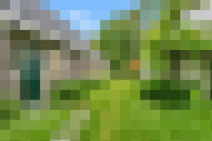 's-Gravenweg 344 A Rotterdam thumbnail 7