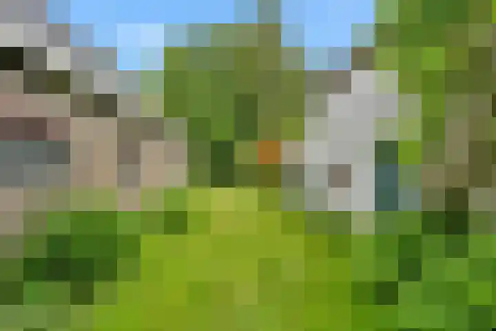 's-Gravenweg 344 A Rotterdam thumbnail 8