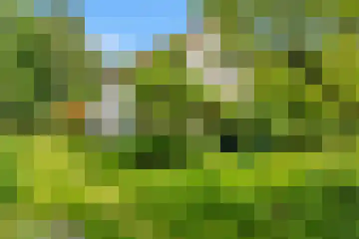 's-Gravenweg 344 A Rotterdam thumbnail 9
