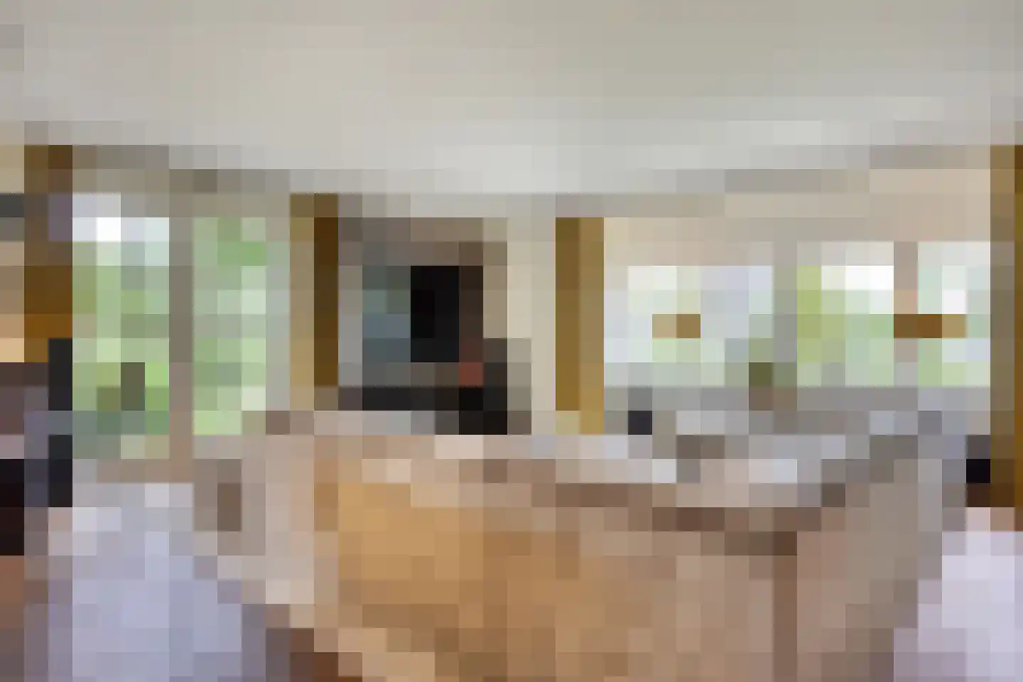 's-Gravenweg 351 Capelle aan den IJssel thumbnail 11