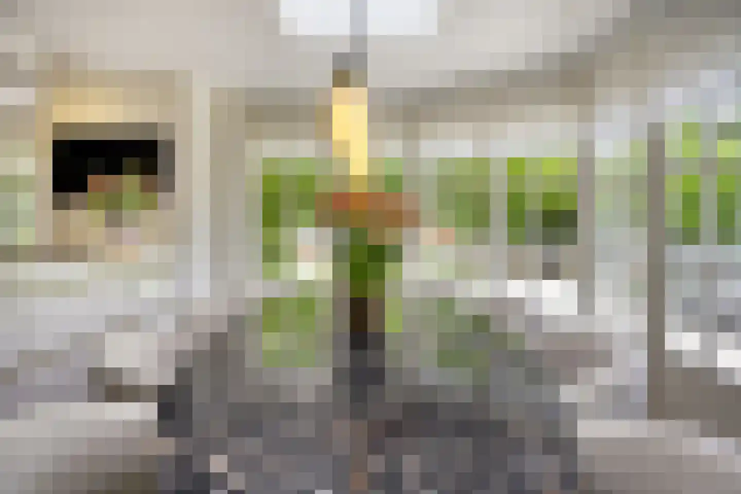 's-Gravenweg 351 Capelle aan den IJssel thumbnail 15
