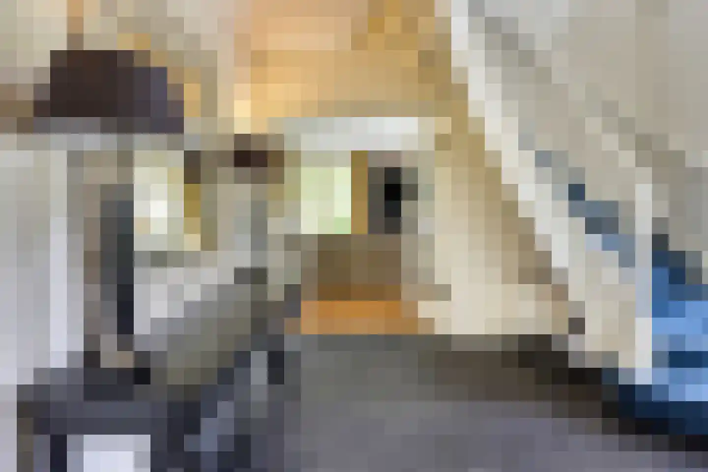 's-Gravenweg 351 Capelle aan den IJssel thumbnail 17