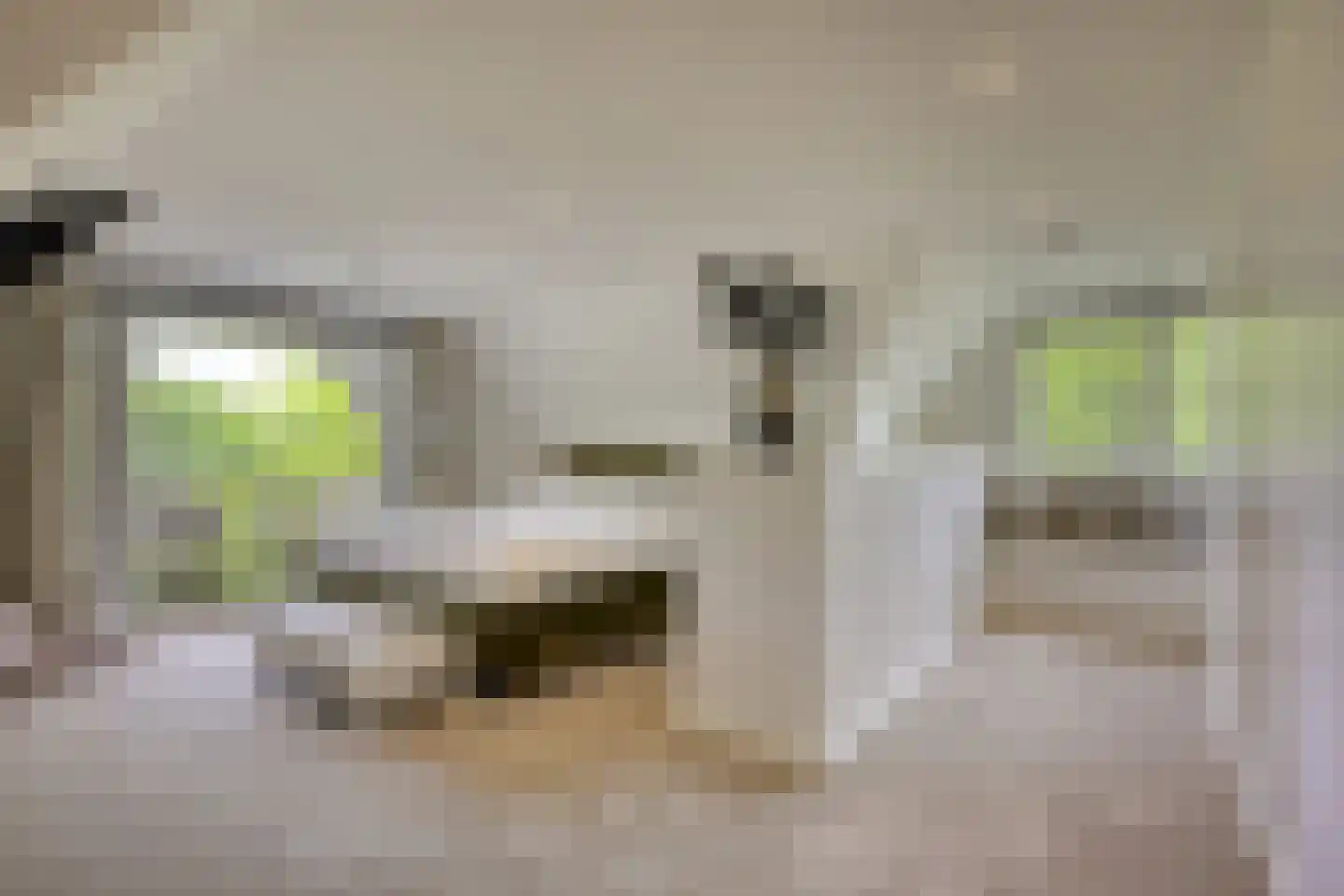 's-Gravenweg 351 Capelle aan den IJssel thumbnail 18