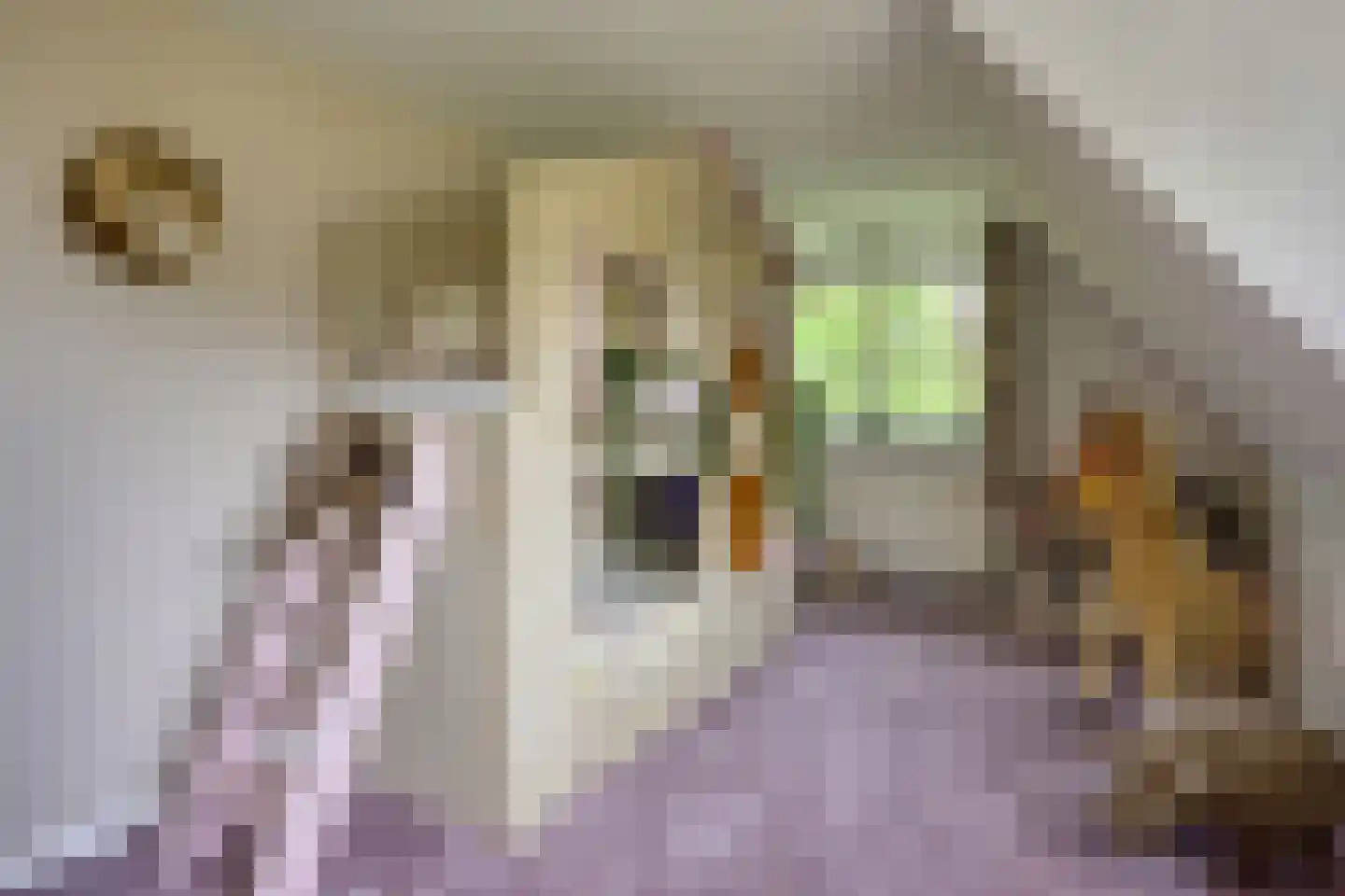 's-Gravenweg 351 Capelle aan den IJssel thumbnail 19
