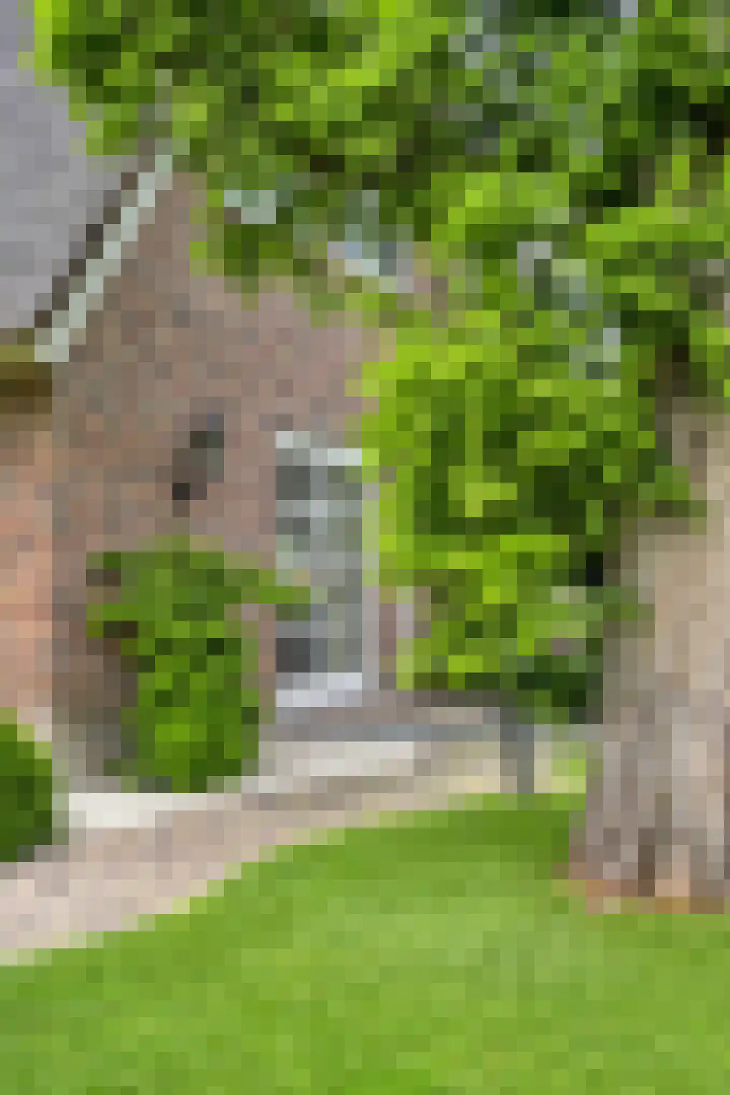 's-Gravenweg 351 Capelle aan den IJssel thumbnail 24