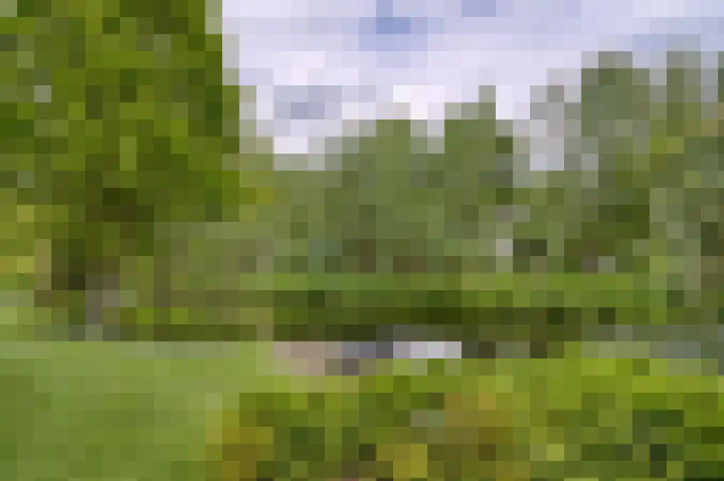 's-Gravenweg 351 Capelle aan den IJssel thumbnail 29