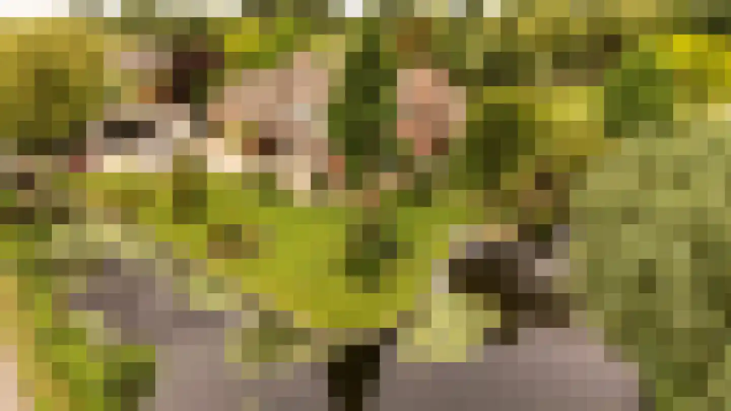 's-Gravenweg 351 Capelle aan den IJssel thumbnail 30