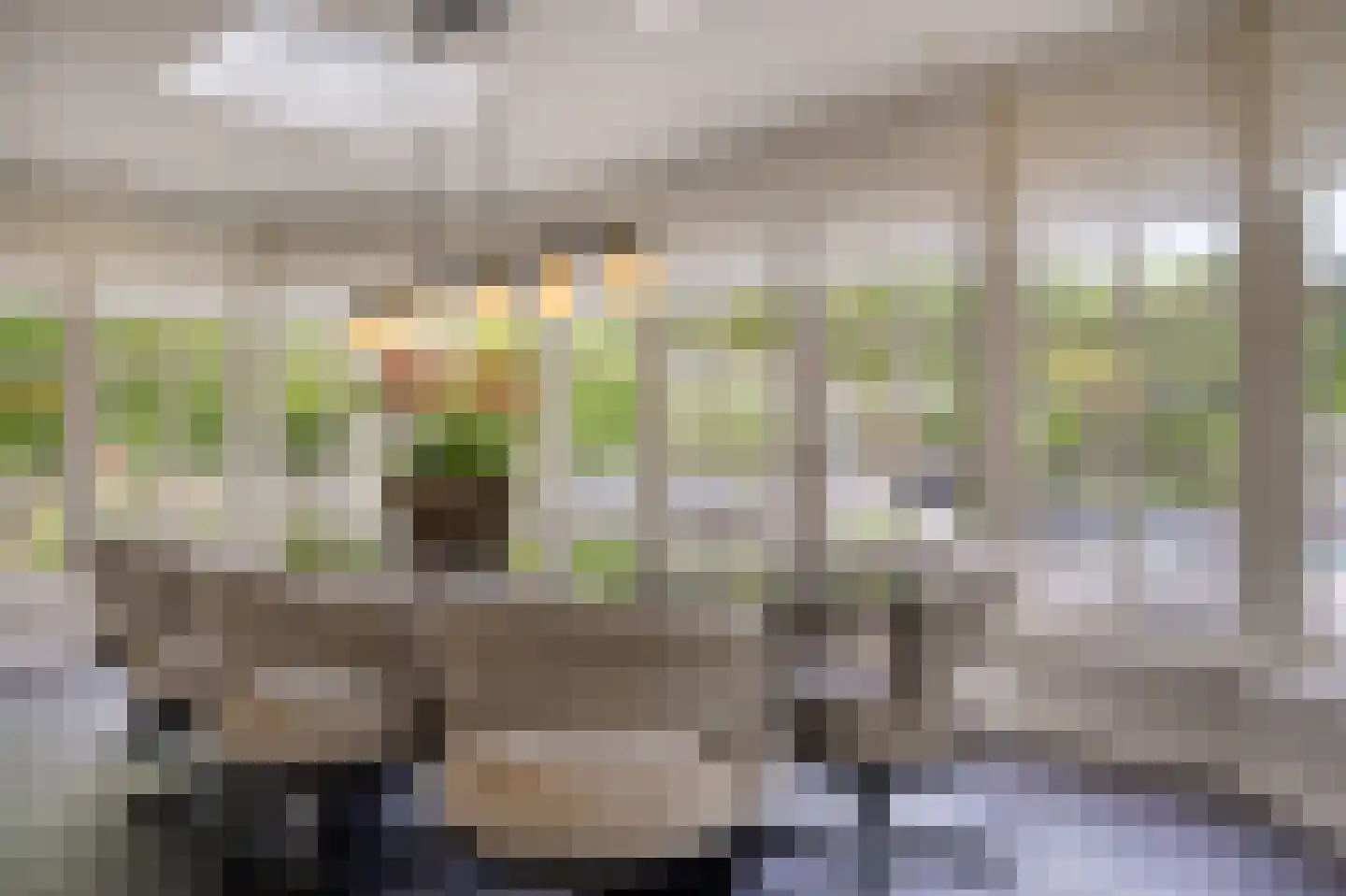 's-Gravenweg 351 Capelle aan den IJssel thumbnail 4