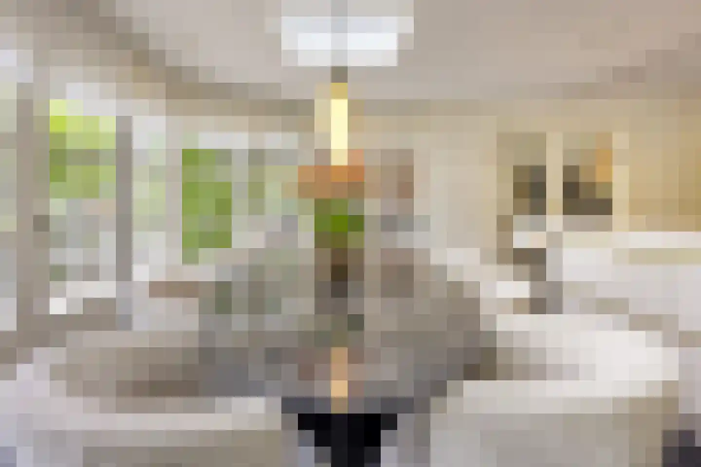 's-Gravenweg 351 Capelle aan den IJssel thumbnail 5