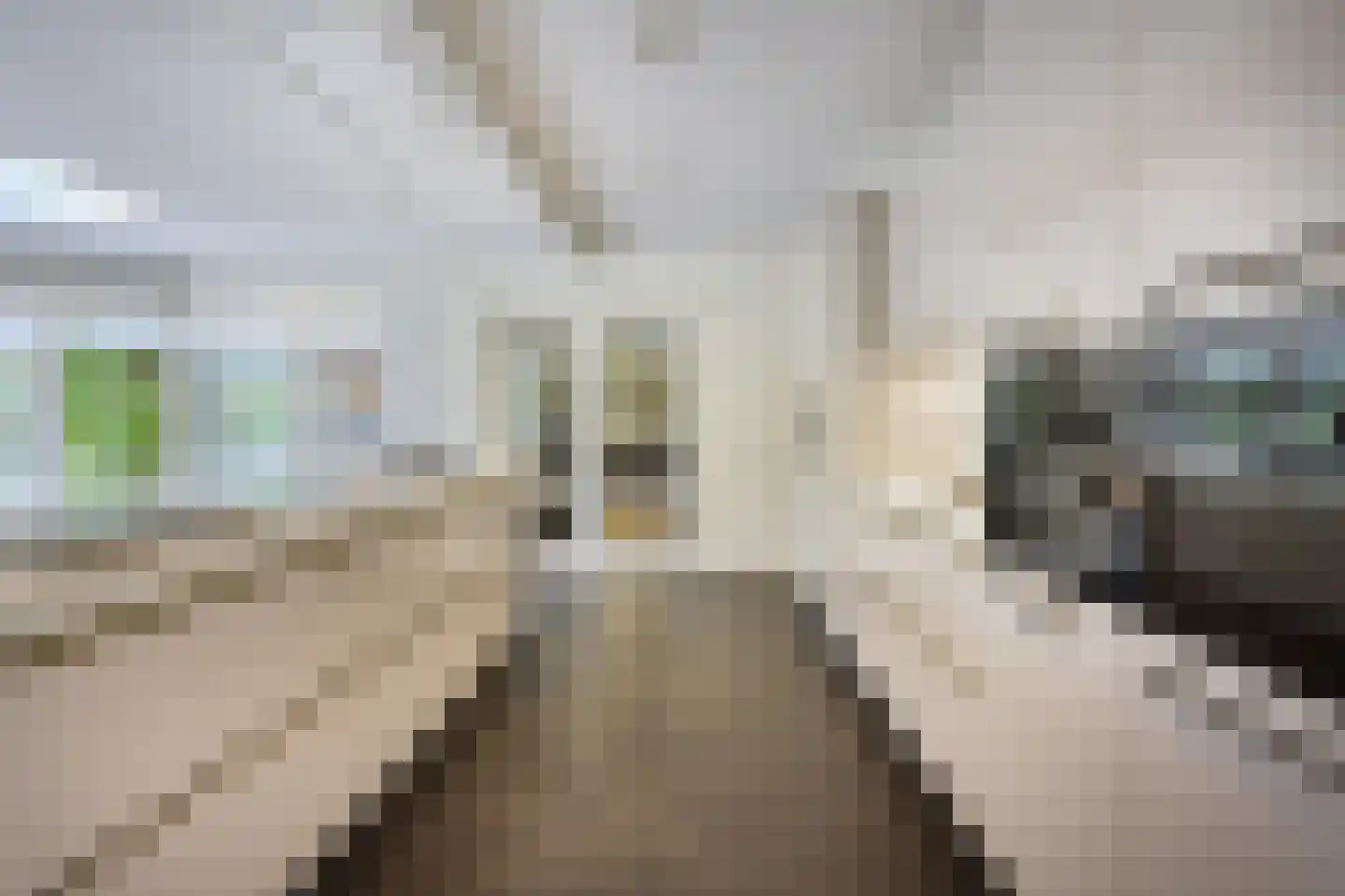 's-Gravenweg 351 Capelle aan den IJssel thumbnail 6
