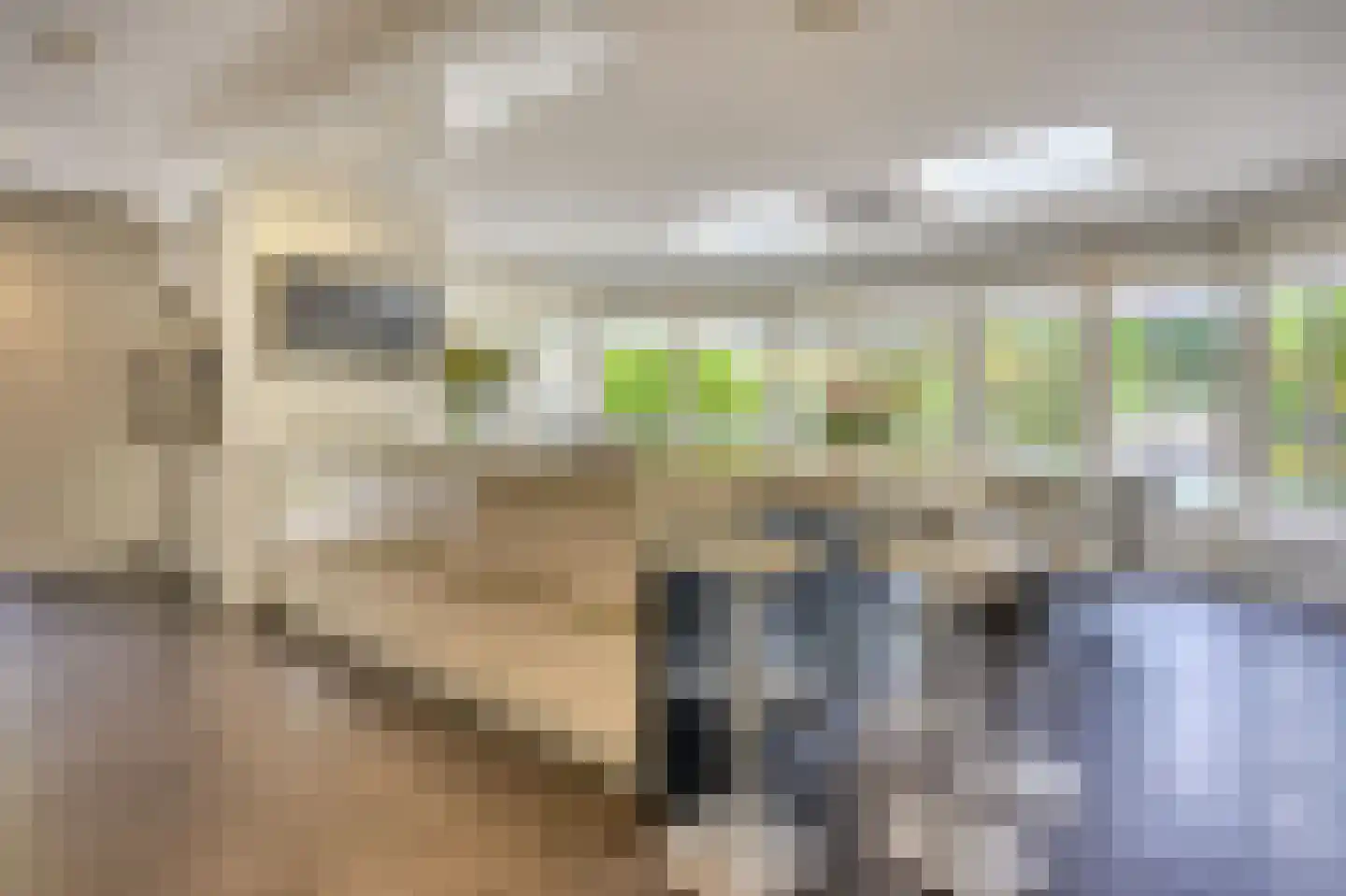 's-Gravenweg 351 Capelle aan den IJssel thumbnail 7
