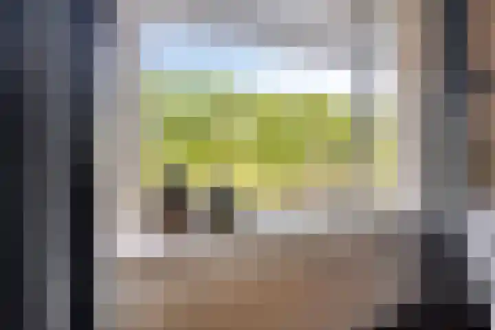 's-Gravenweg 356 Capelle aan den IJssel thumbnail 11