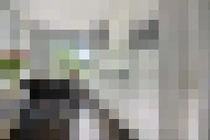 's-Gravenweg 356 Capelle aan den IJssel thumbnail 12