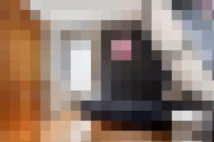 's-Gravenweg 356 Capelle aan den IJssel thumbnail 19