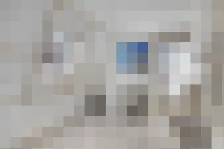 's-Gravenweg 356 Capelle aan den IJssel thumbnail 20
