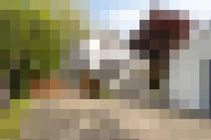 's-Gravenweg 356 Capelle aan den IJssel thumbnail 22