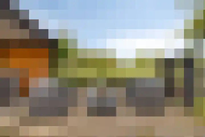 's-Gravenweg 356 Capelle aan den IJssel thumbnail 24