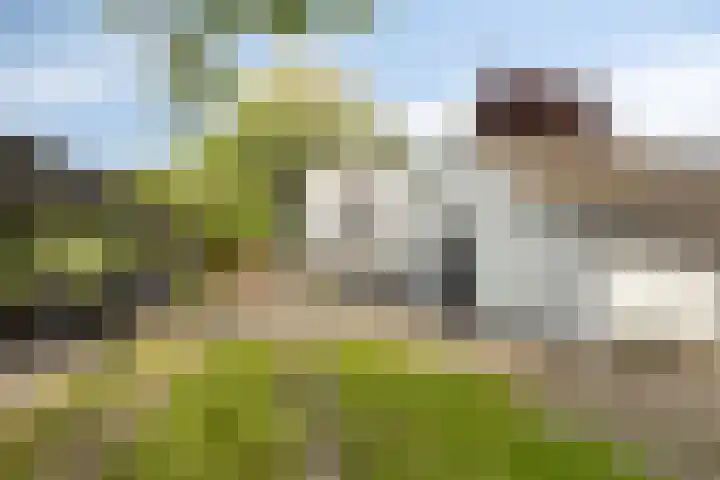 's-Gravenweg 356 Capelle aan den IJssel thumbnail 25