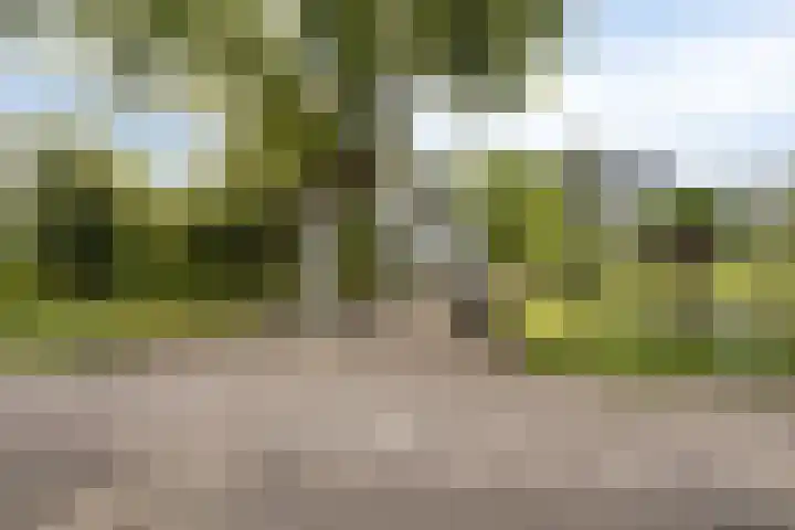 's-Gravenweg 356 Capelle aan den IJssel thumbnail 28