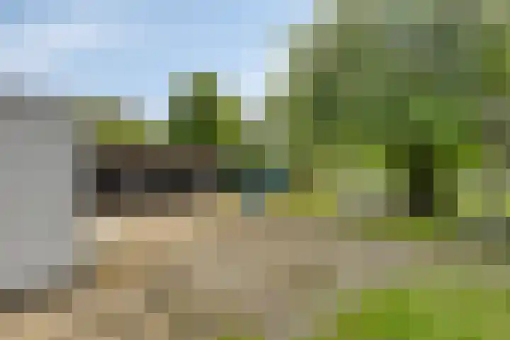 's-Gravenweg 356 Capelle aan den IJssel thumbnail 4