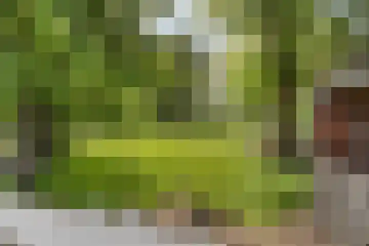 's-Gravenweg 356 Capelle aan den IJssel thumbnail 5