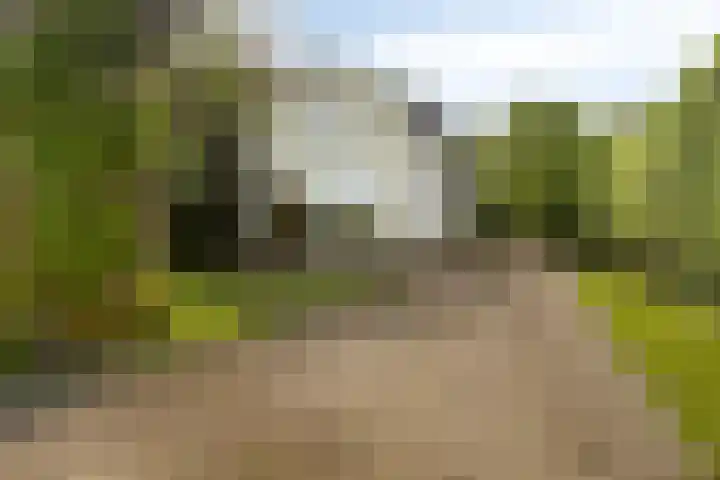 's-Gravenweg 356 Capelle aan den IJssel thumbnail 6